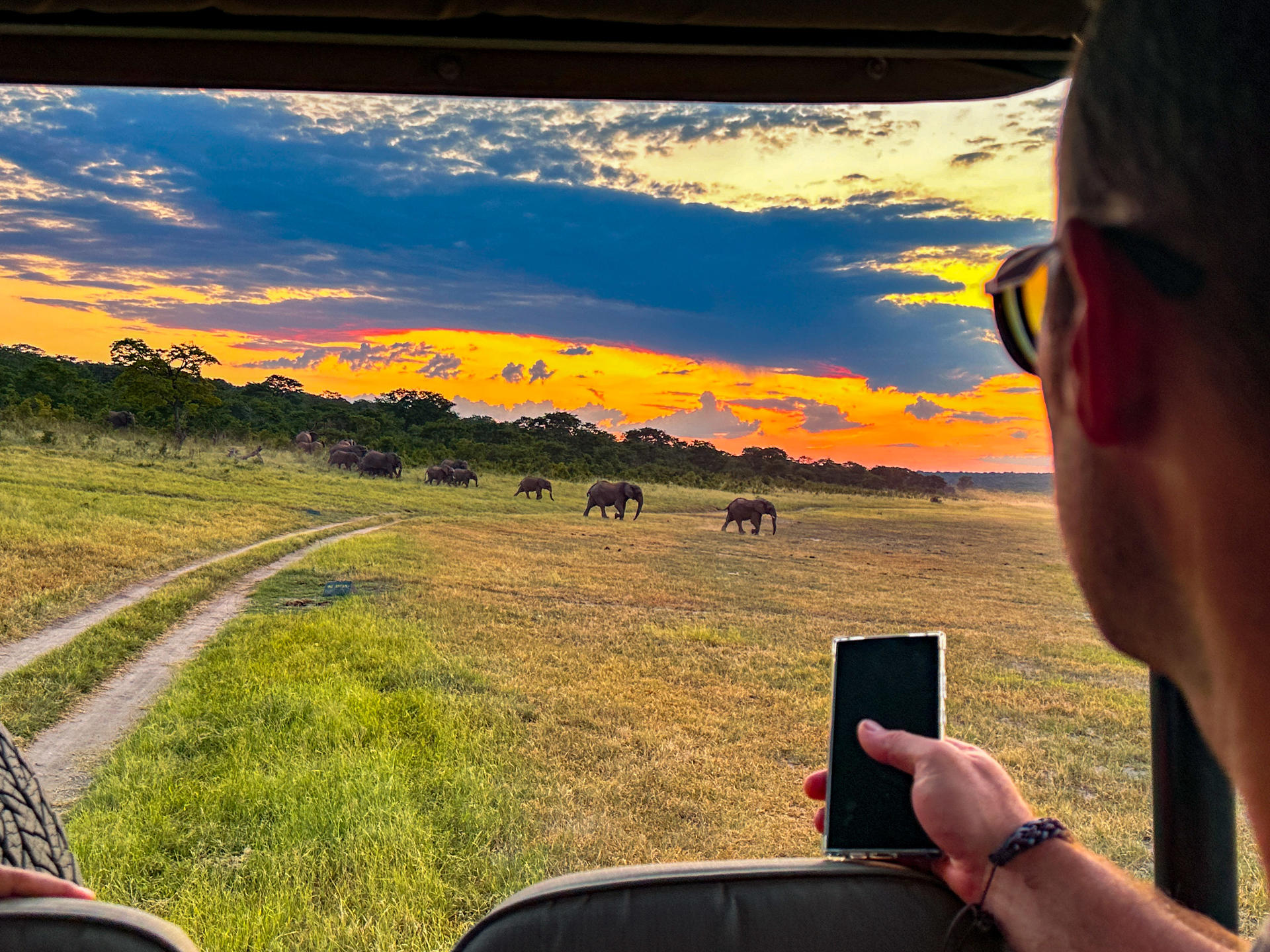 Solo Travel: Game Drives