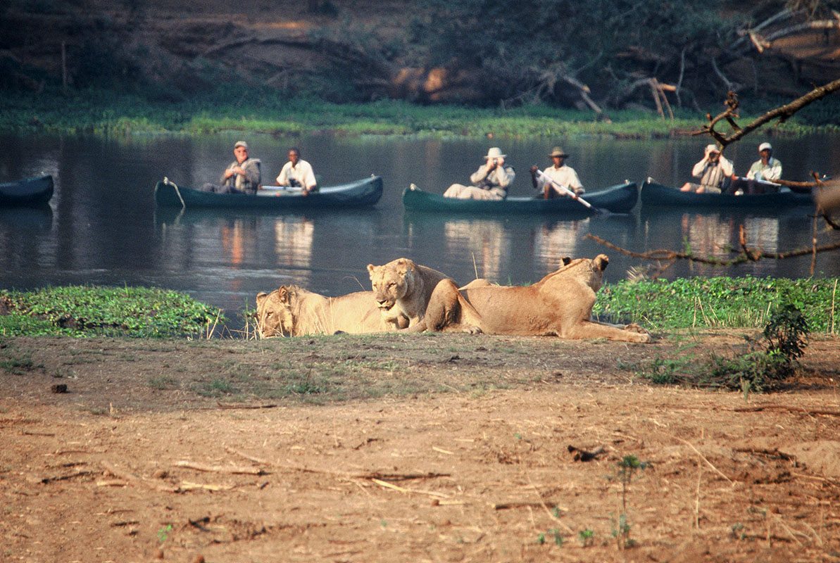 Canoeing-full-day-safari-on-River-Zambezi-Zambia-3