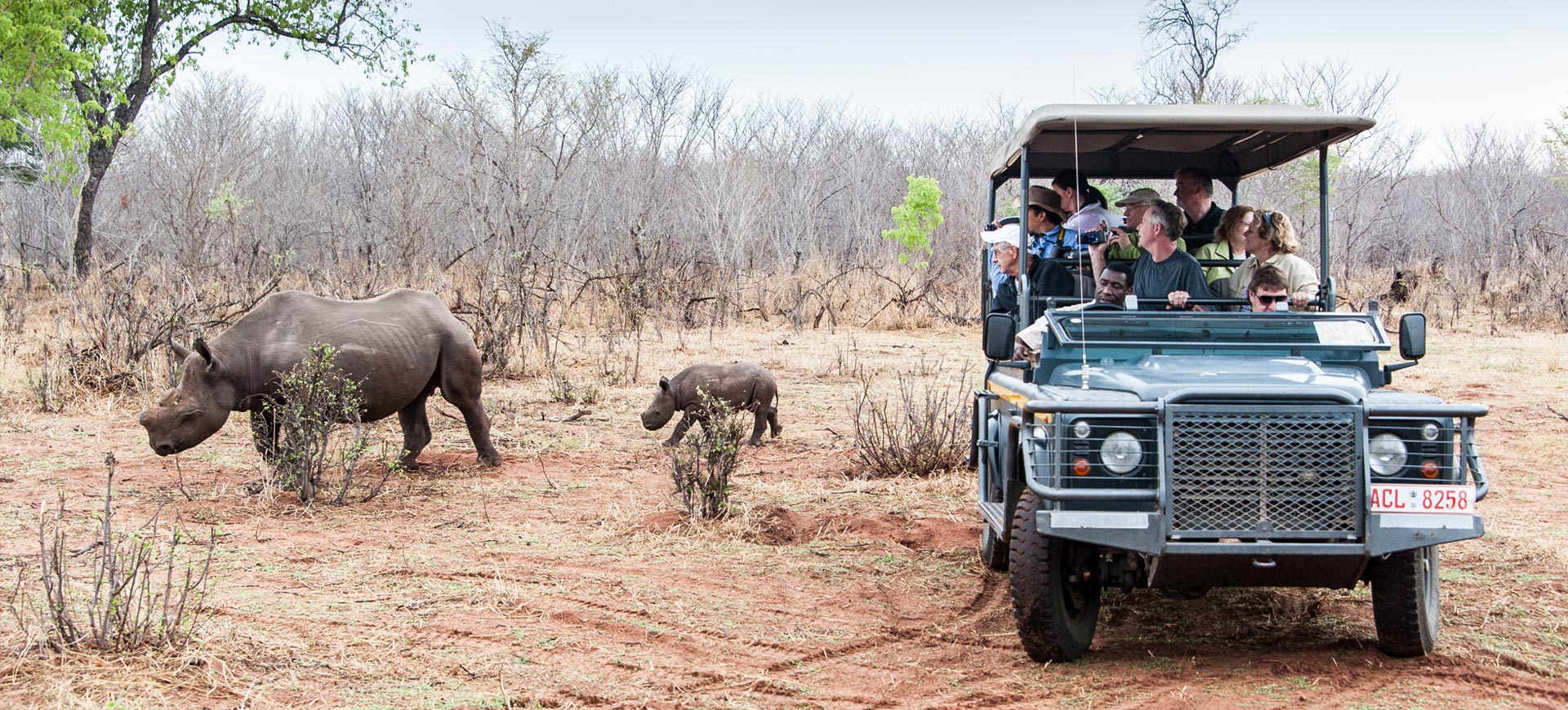 Game-Drive-At-Victoria-Falls