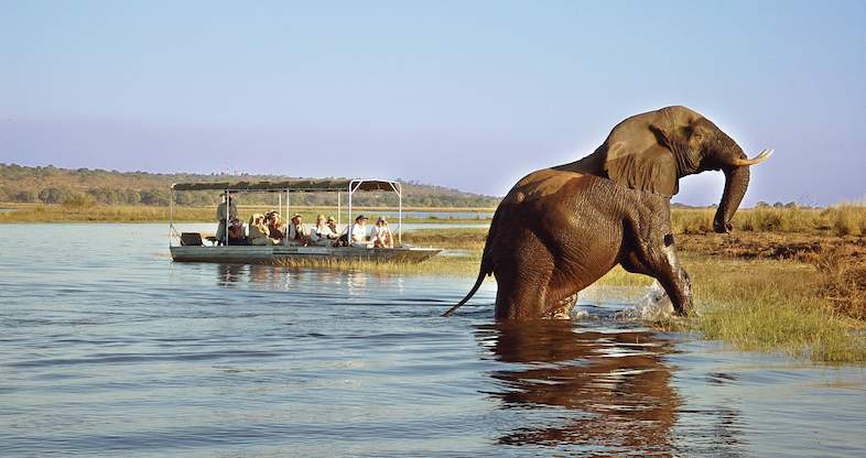 tongabezi-safari-lodge-boat-safari-elephant-786×416